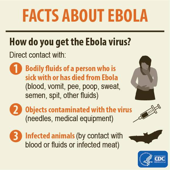 Diagram of ebola contraction