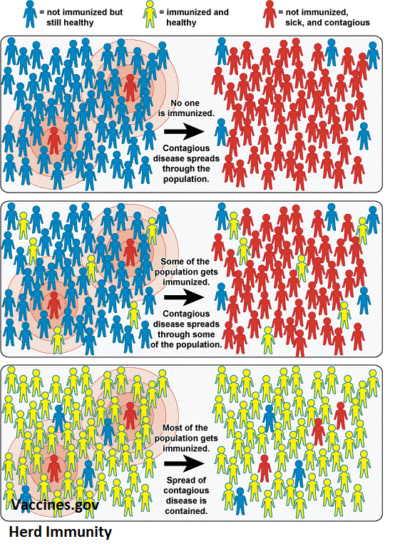 Diagram of herd immunity