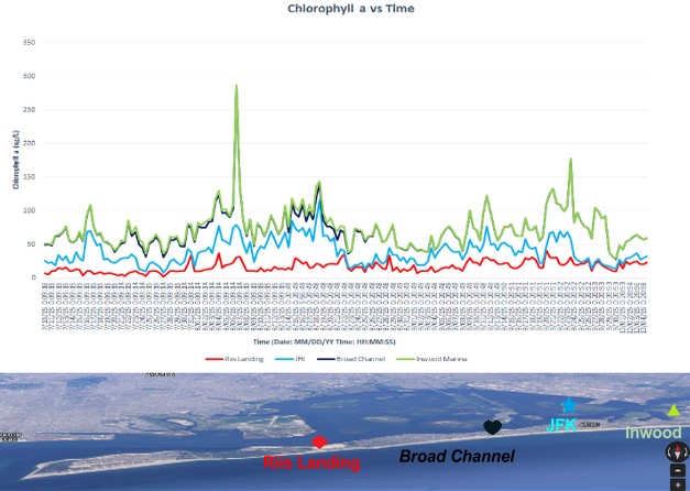 Chlorophyll V time graph