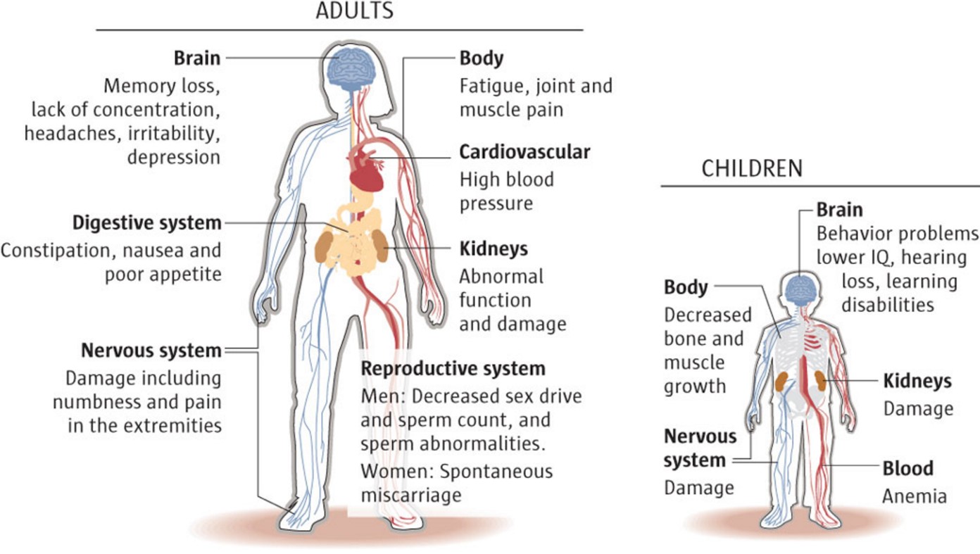 diagram of lead poisoning symptoms