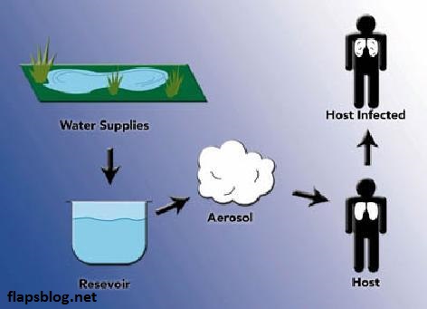 schematic of transfer method