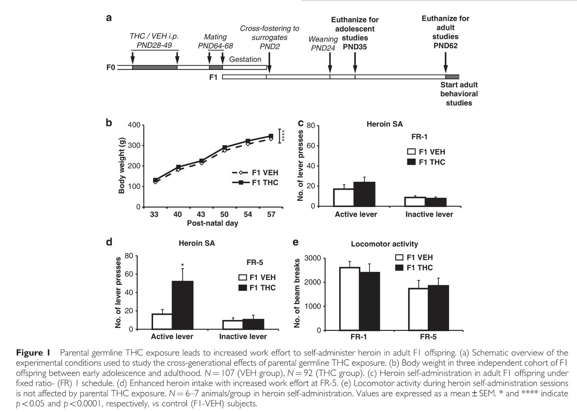 Graphical results of study