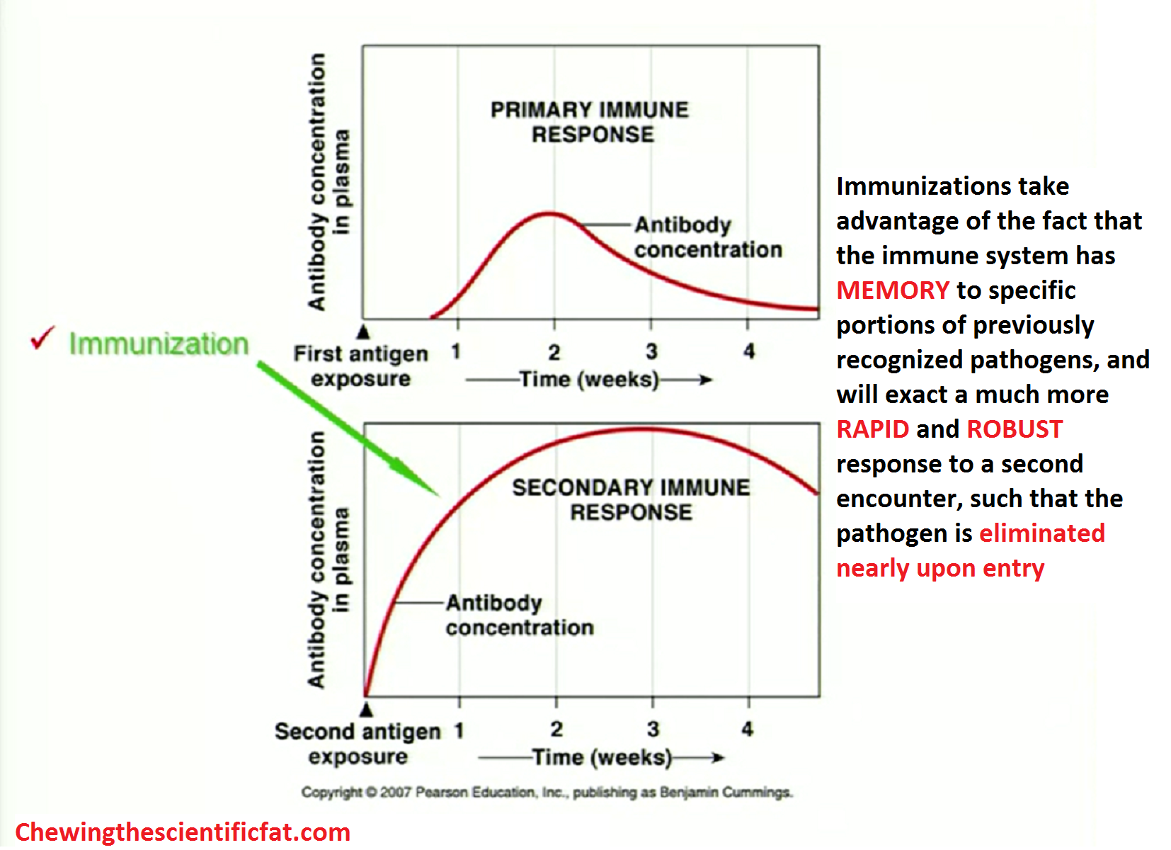 Basis for immunizations